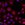 40x - z-stack