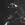 Figure 1: Primary Hippocampal Neurons expressing GFP