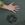 Hand and wolf track in Denali Park