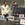 CGI trainees and the EnGen Roadshow