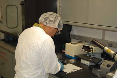 Bootcamp-Antonio Davila making an attempt to break the wafer